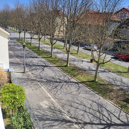 Alleeblick Ballenstedt Eksteriør billede
