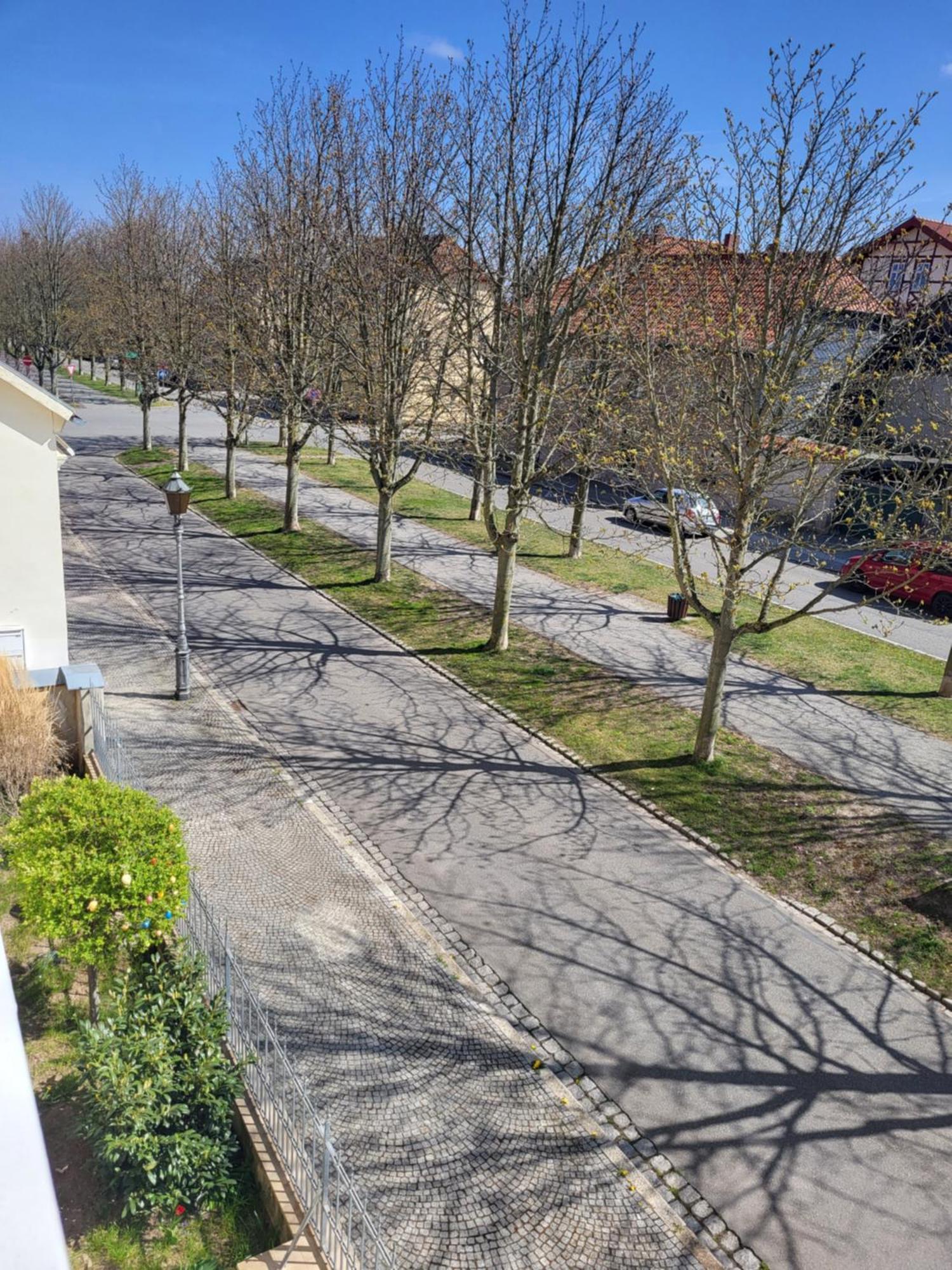 Alleeblick Ballenstedt Eksteriør billede